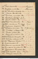 Nachlass Franz Steindachner, Brief und Beilage vonJ.G. Fischer an Franz Steindachner (08.03.1878), Inv.Nr. 132.01, Seite 5